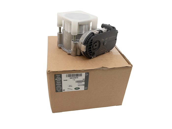 THROTTLE BODY