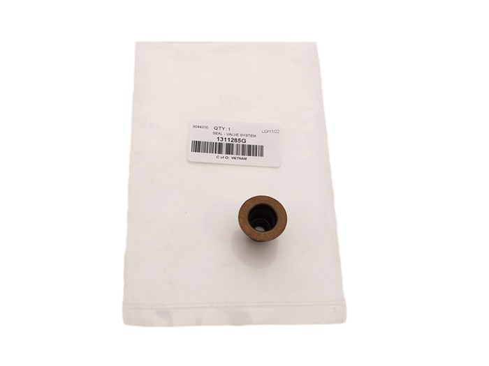 SEAL - VALVE SYSTEM