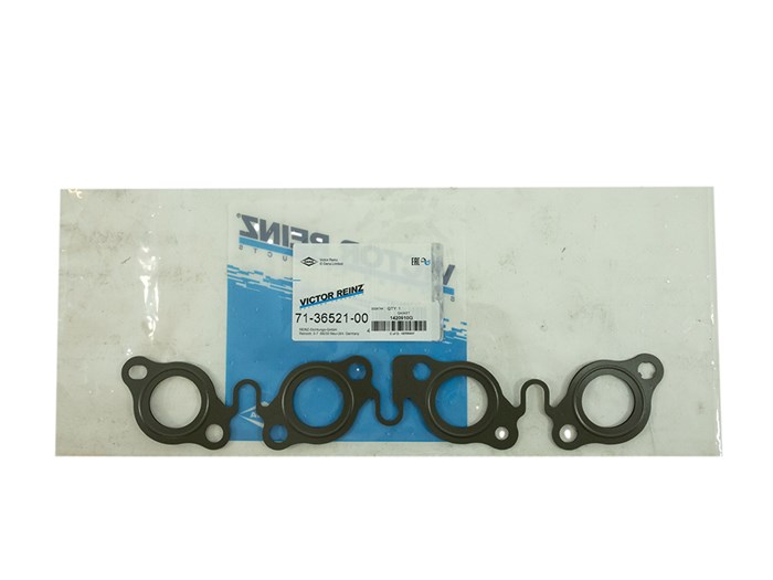 GASKET
