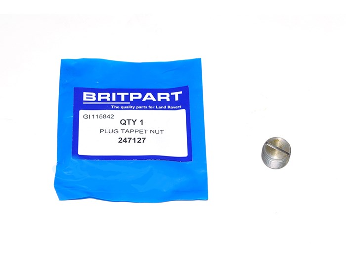 PLUG TAPPET NUT