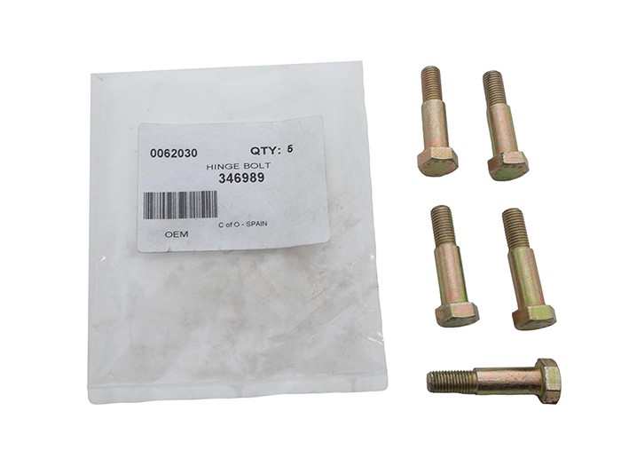 HINGE BOLT