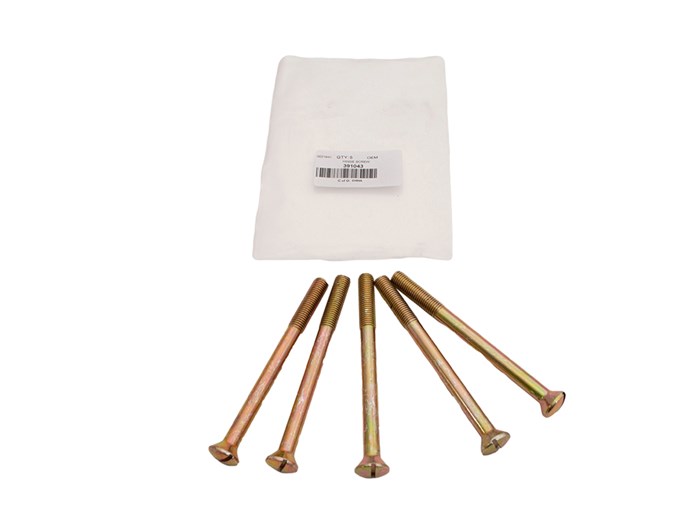 HINGE SCREW