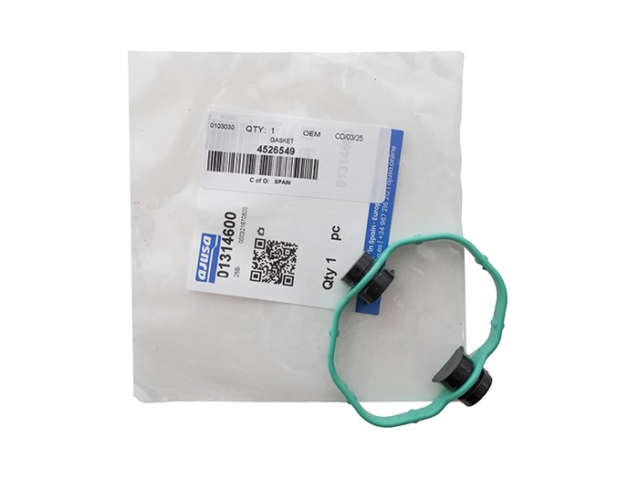 GASKET
