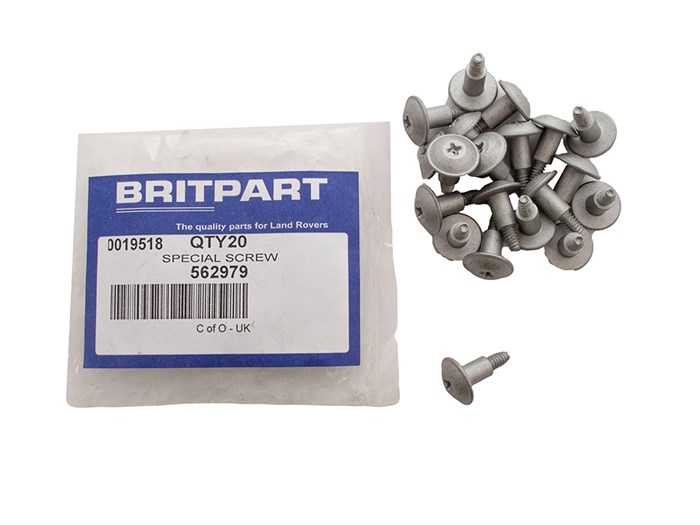 SPECIAL SCREW