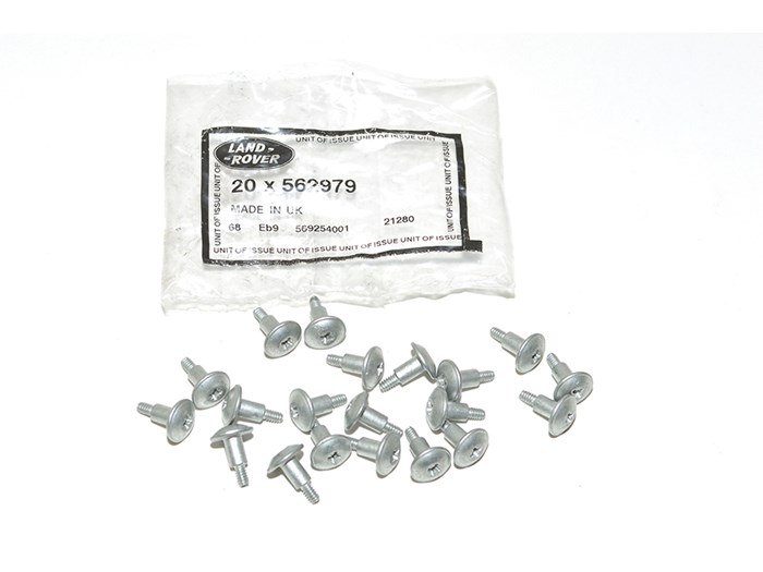 SPECIAL SCREW