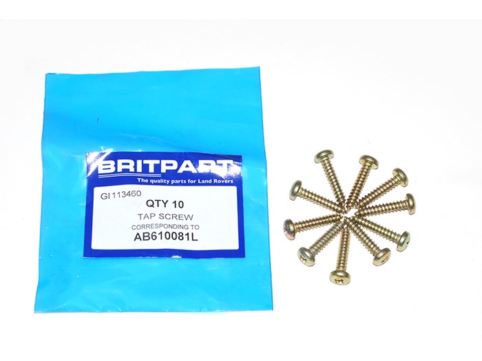 TAP SCREW