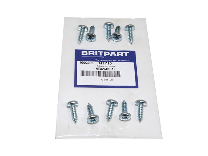 DRIVE SCREW