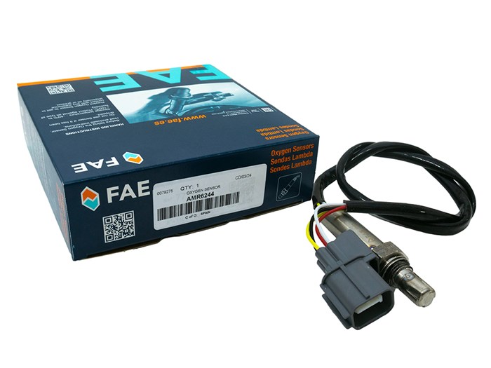 OXYGEN SENSOR