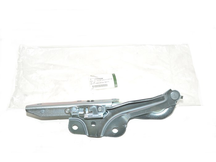 HINGE-BONNET
