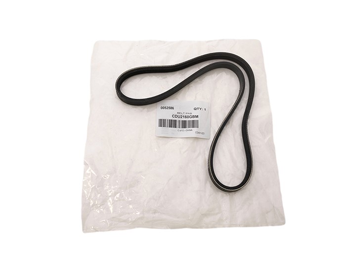 BELT PAS