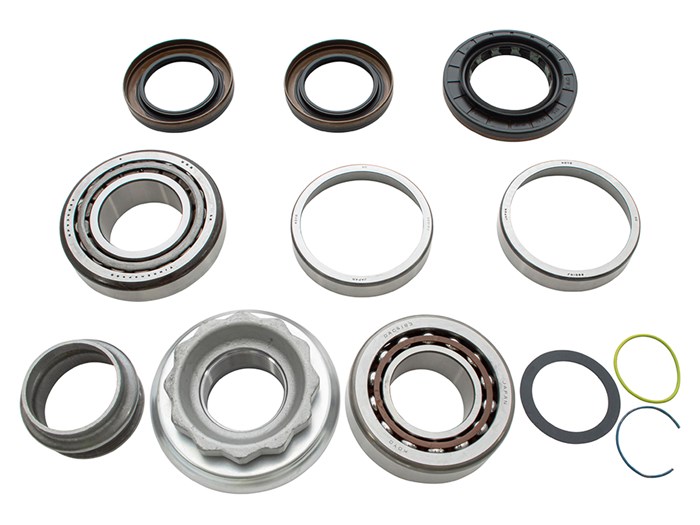 Rear Diff Overhaul Kit