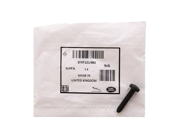 SCREW - TORX - PAN