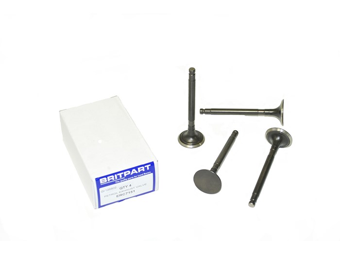 PETROL EXHAUST VALVE