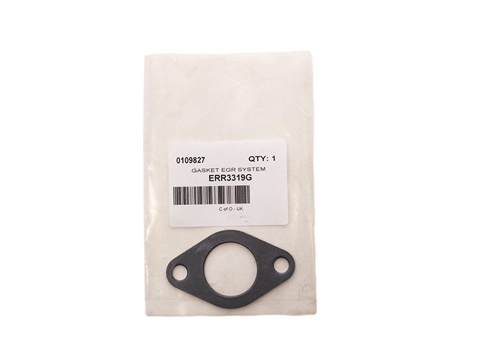 GASKET EGR SYSTEM
