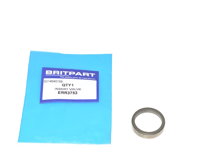 INSERT VALVE