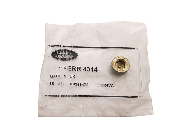 PLUG SCREW