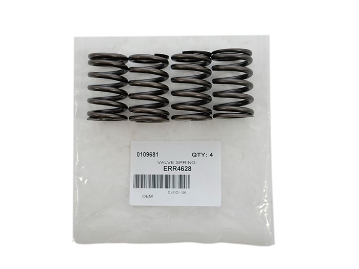 VALVE SPRING