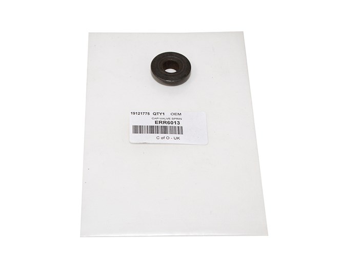 CAP-VALVE SPRIN