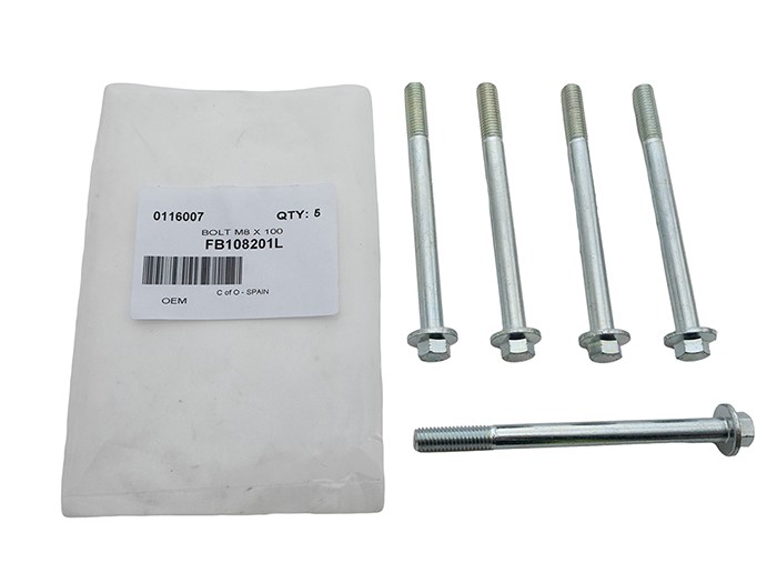 BOLT M8 X 100