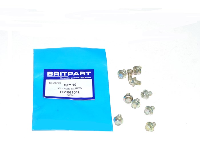 FLANGE SCREW