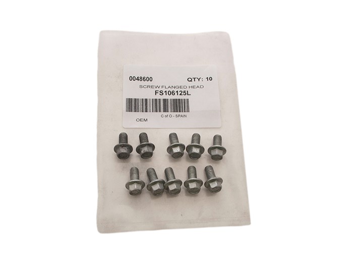 SCREW FLANGED HEAD