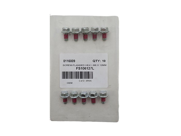 SCREW-FLANGED HEAD M6 X 12MM