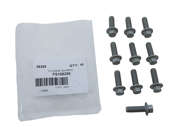 FLANGE SCREW