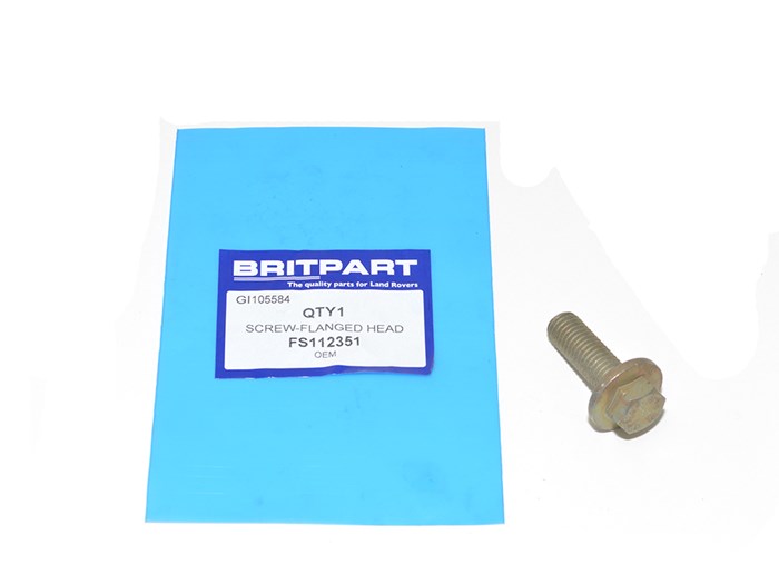 SCREW-FLANGED HEAD