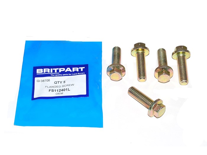 FLANGED SCREW
