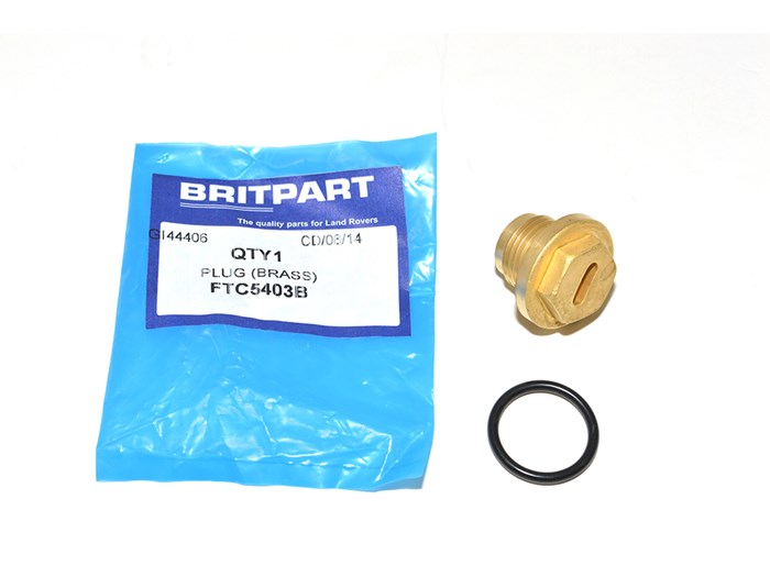 PLUG - INC O RING (BRASS)