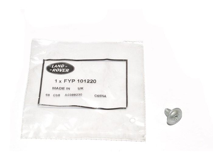 SCREW - TORX - FLAN