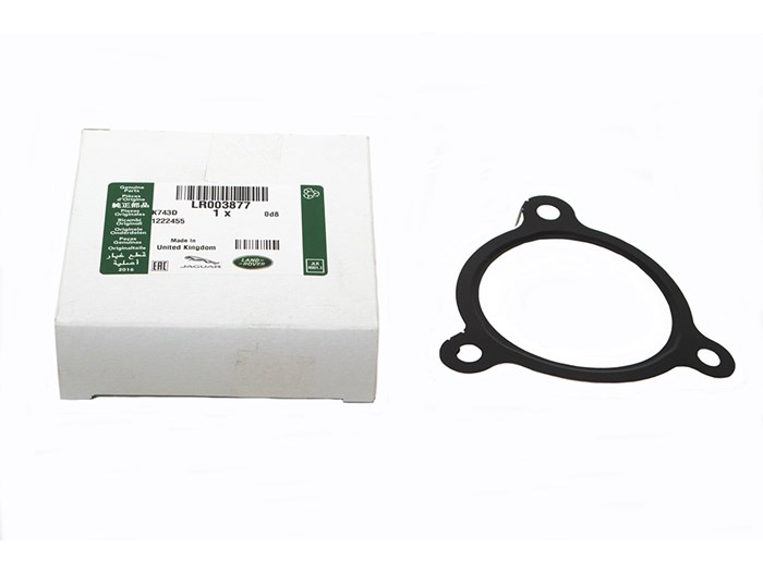 GASKET