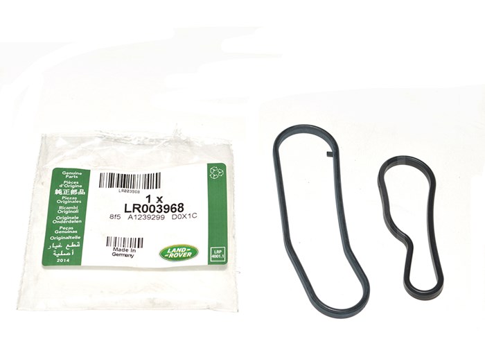 GASKET-OIL COOLER