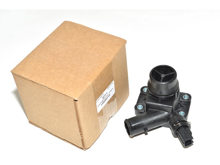 THERMOSTAT ASSY