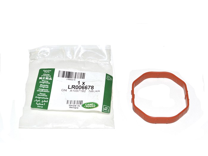GASKET