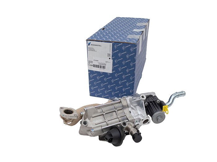 EGR ASSEMBLY