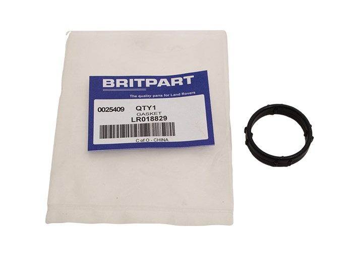 GASKET