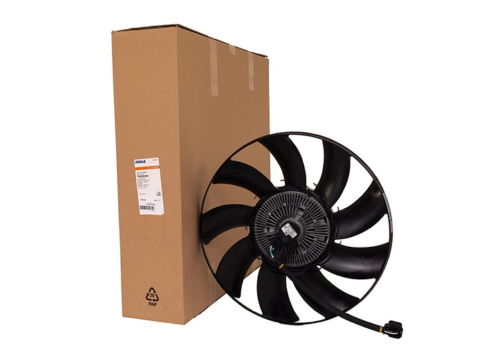 FAN