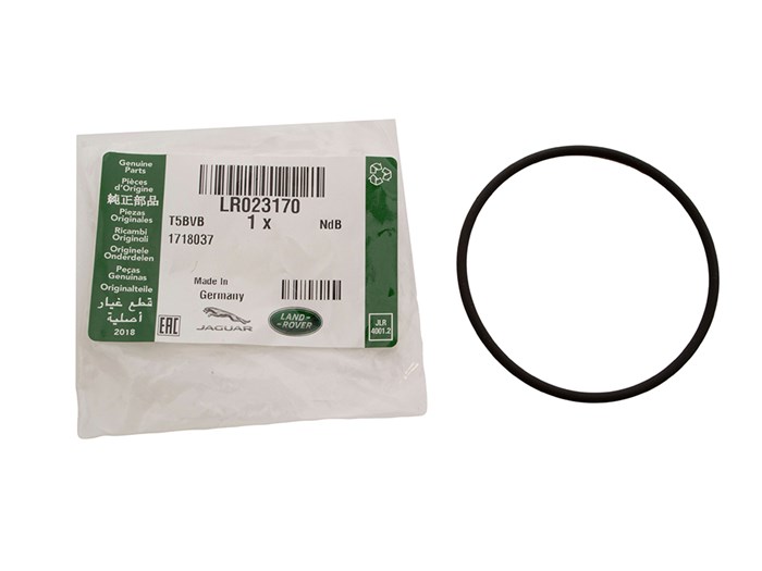 GASKET