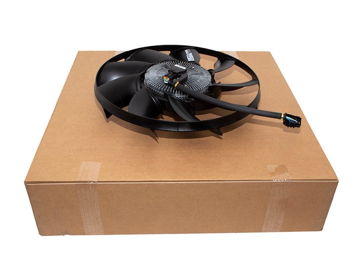 FAN