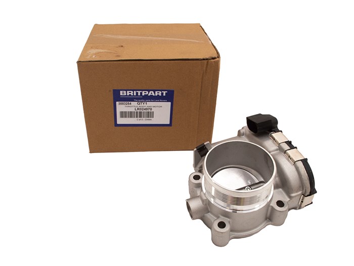 THROTTLE BODY AND MOTOR