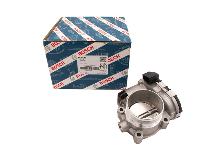 THROTTLE BODY AND MOTOR