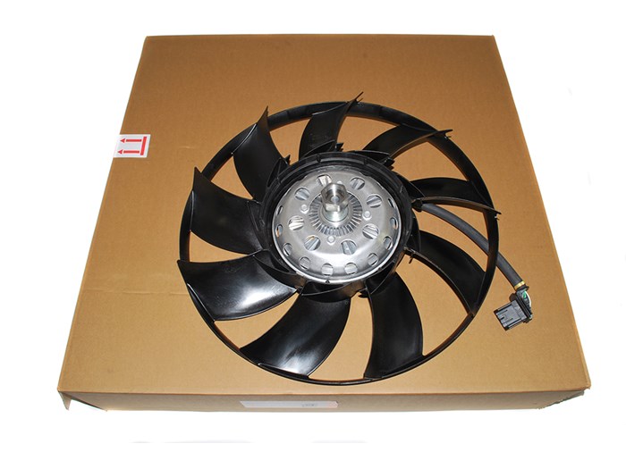FAN