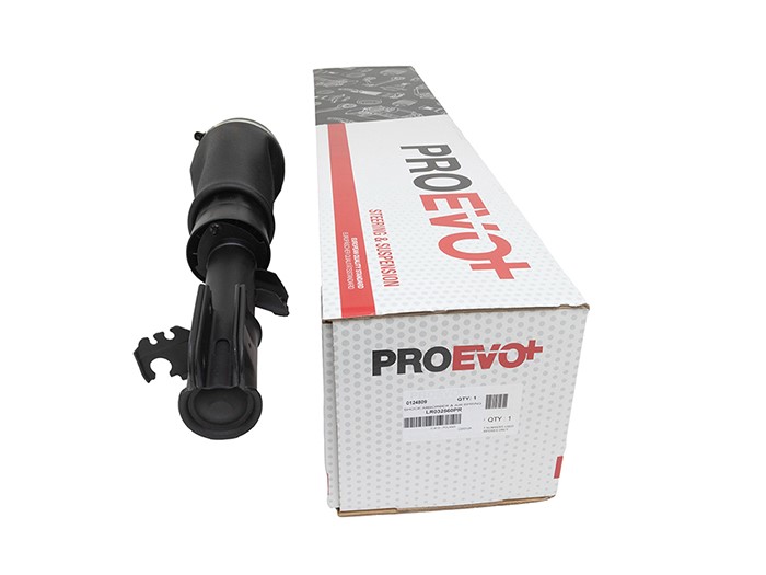 SHOCK ABSORBER & AIR SPRING