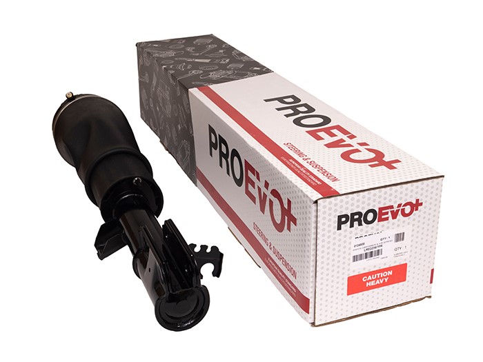SHOCK ABSORBER & AIR SPRING