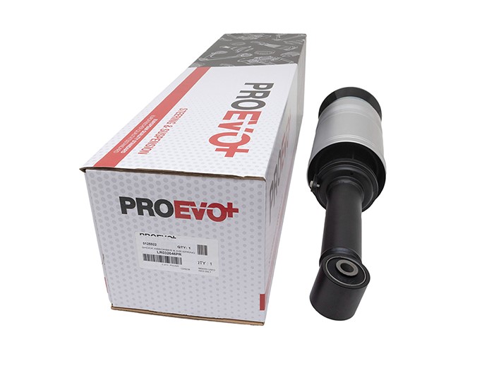 SHOCK ABSORBER & AIR SPRING