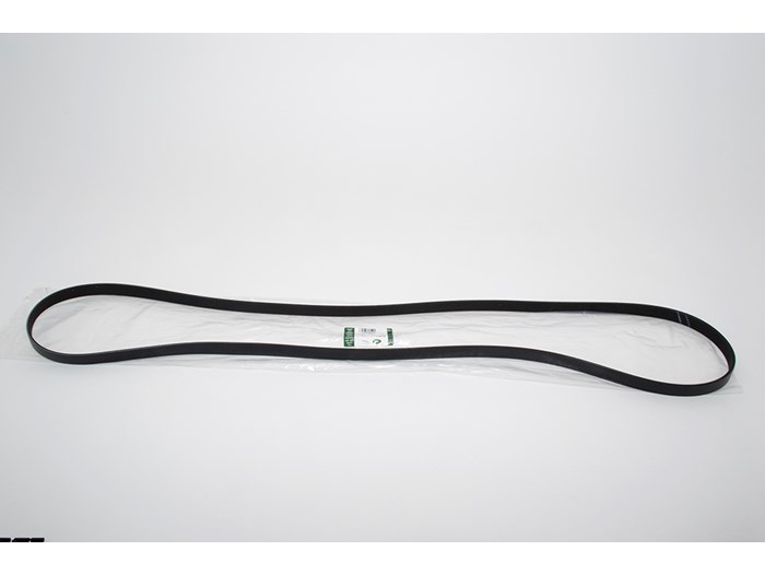BELT - ACCESSORY DRIVE