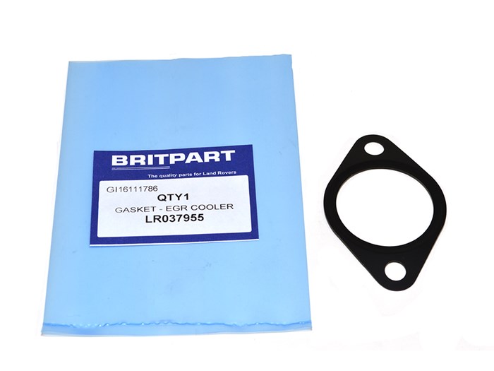 GASKET - EGR COOLER