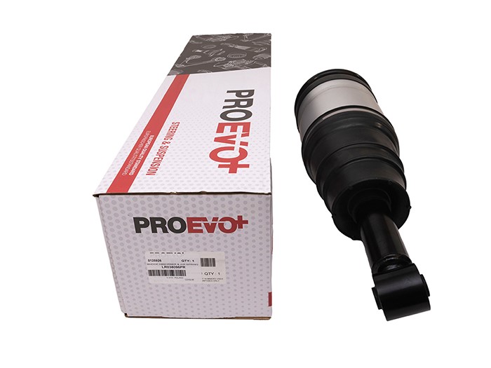 SHOCK ABSORBER & AIR SPRING