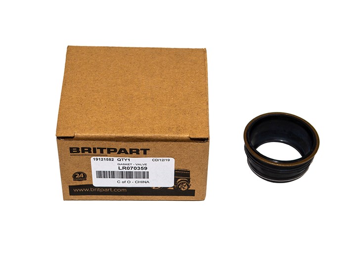 GASKET - VALVE